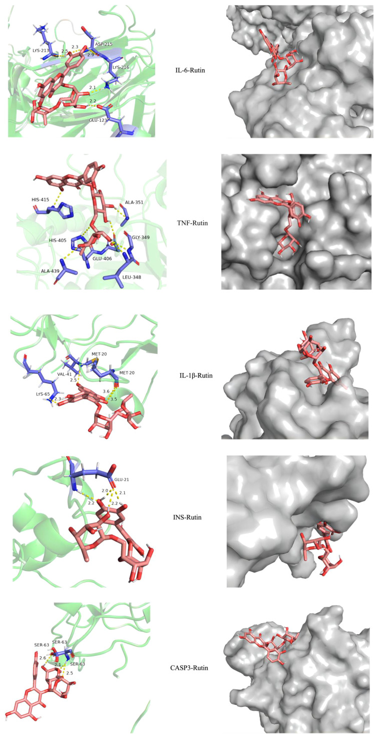 Figure 3