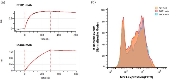 FIGURE 2