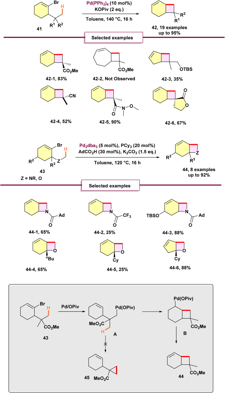 Scheme 10