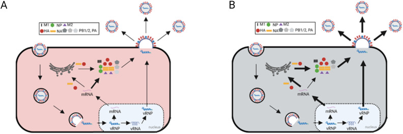 Fig 8