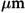 Fig 7