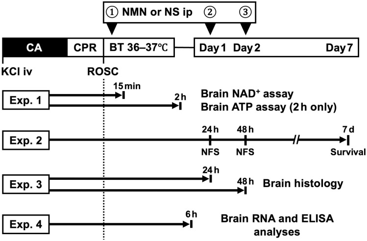 Fig 1