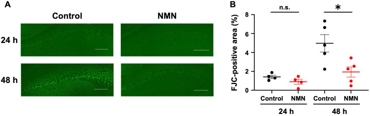 Fig 4