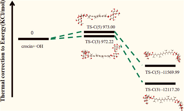 Fig 12