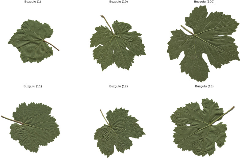 Fig 3