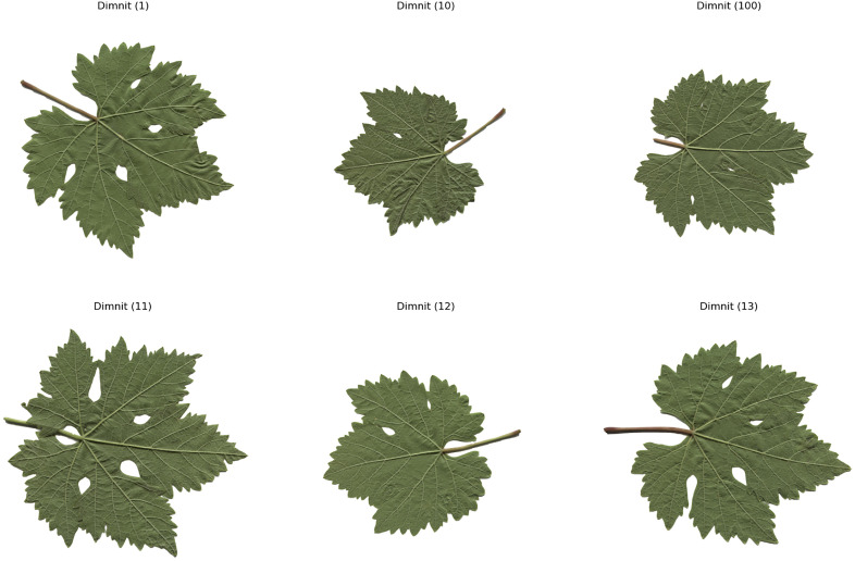 Fig 4