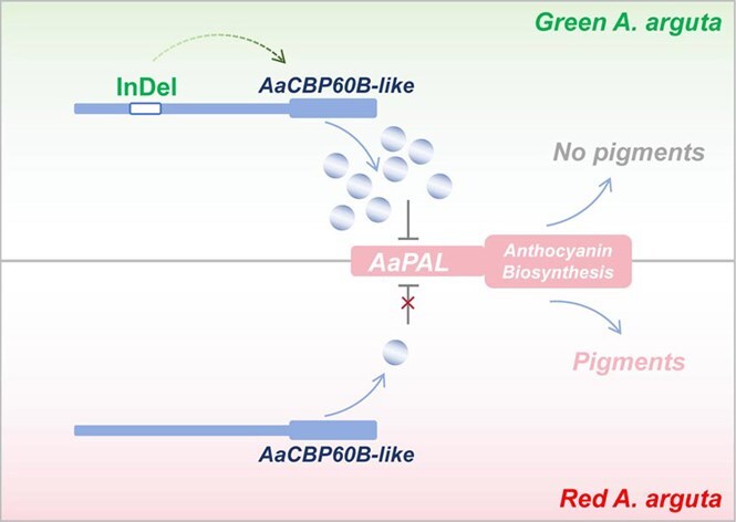 Figure 6