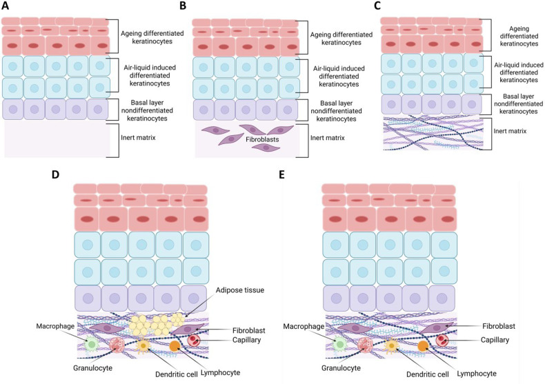 FIG. 3
