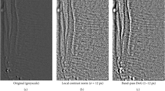 Figure 6