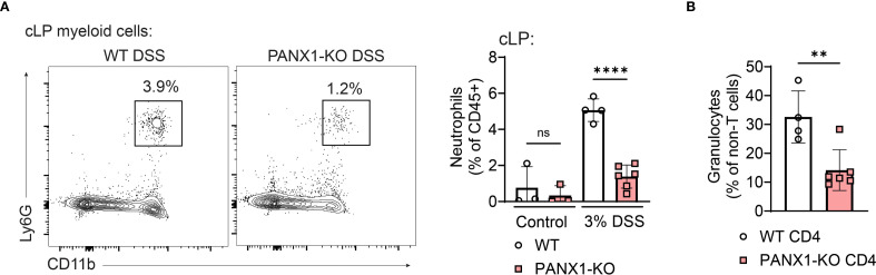 Figure 5