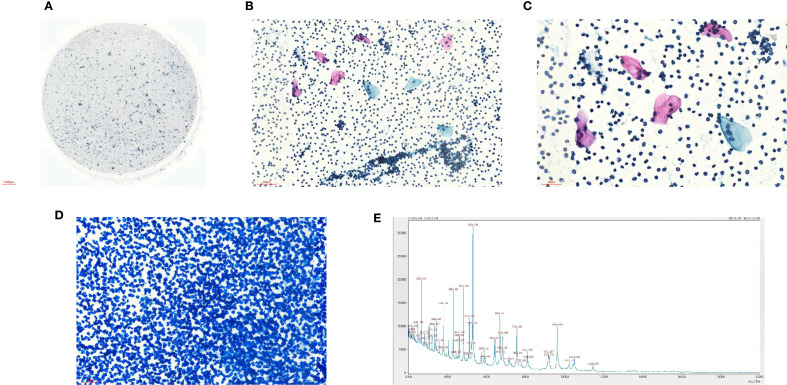 Figure 2