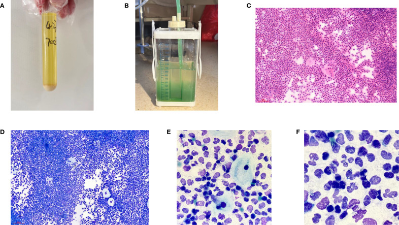 Figure 3