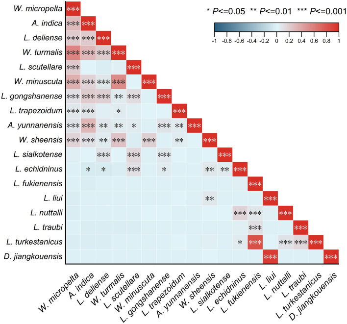 Figure 11