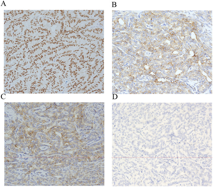 Figure 2