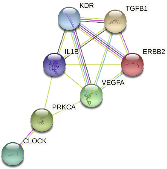 FIGURE 7