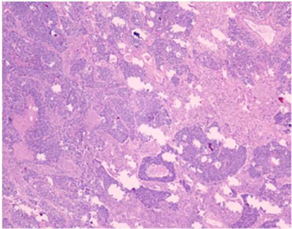Figure 4
