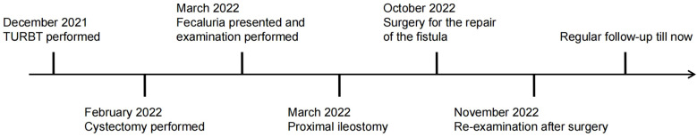 Figure 3