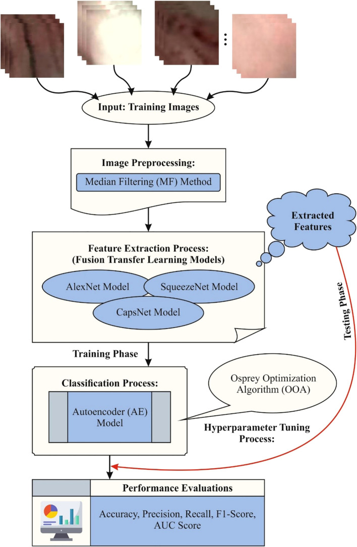Figure 1