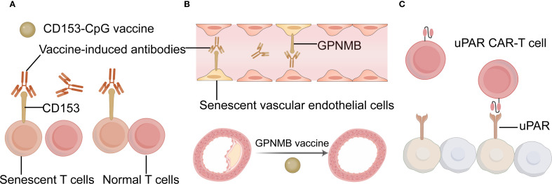 Figure 3