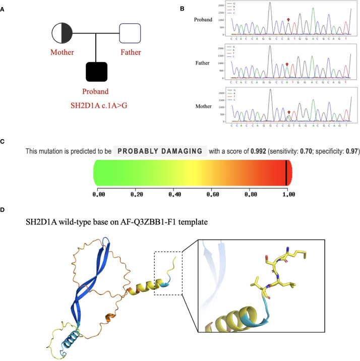Figure 2