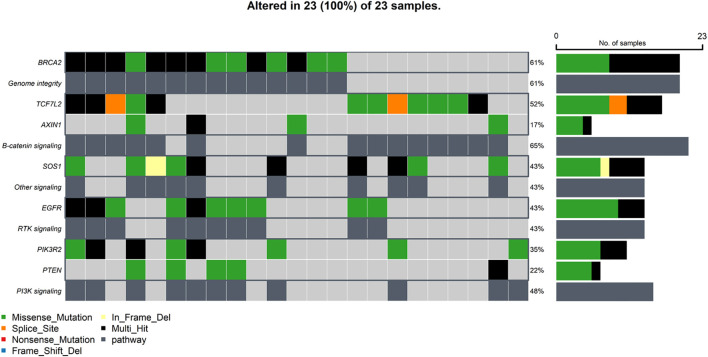 Figure 5