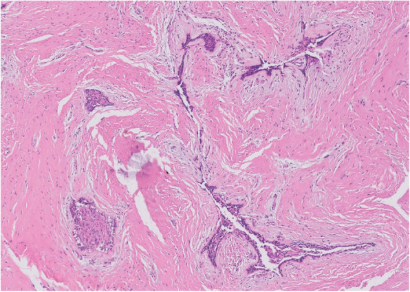 Figure 27
