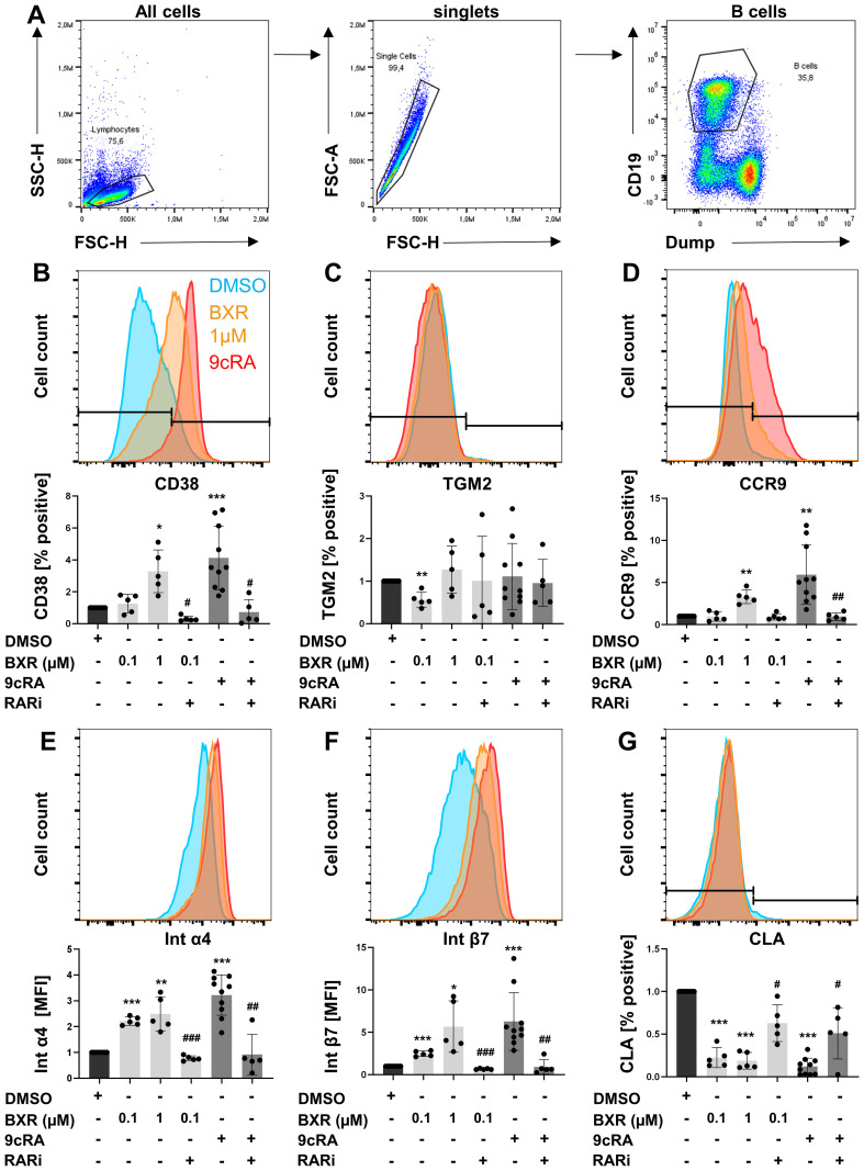 Figure 2
