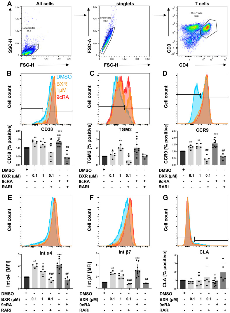 Figure 3