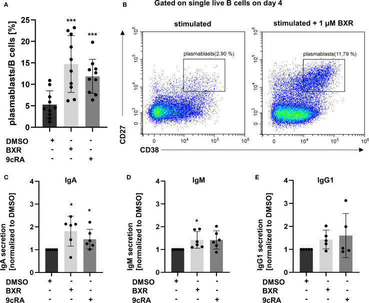 Figure 4