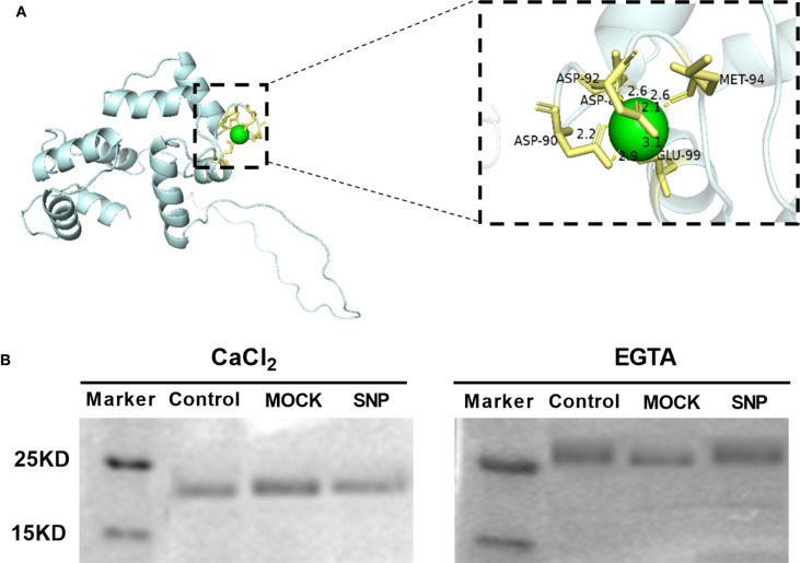 Figure 4