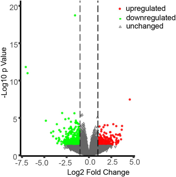 Figure 5
