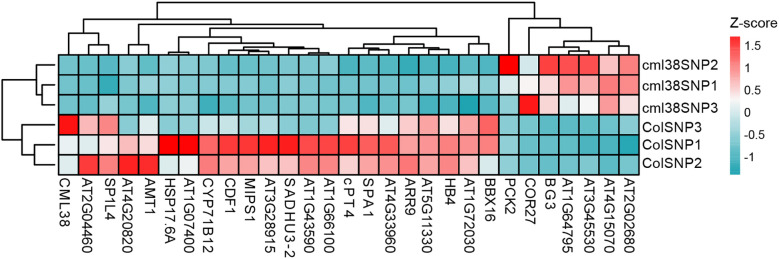 Figure 6