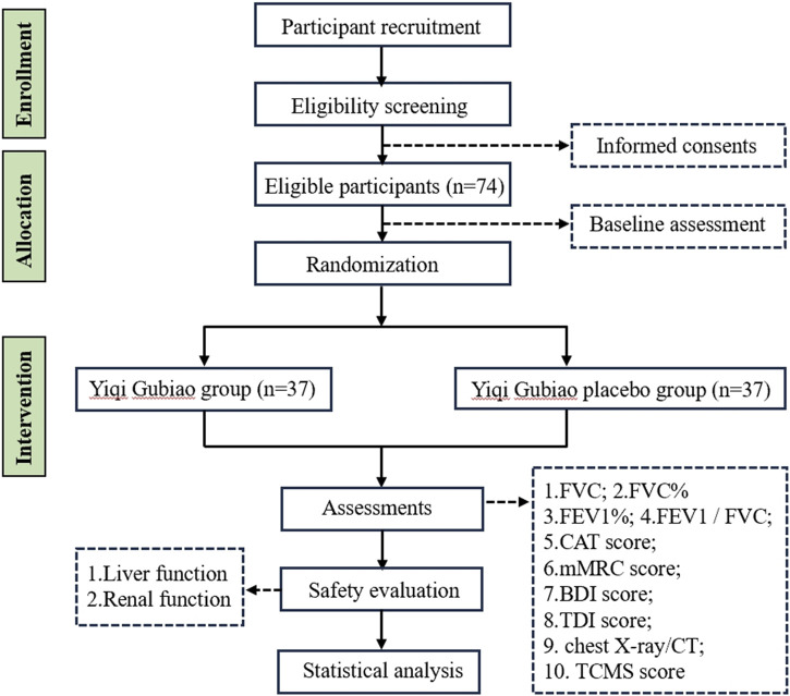 FIGURE 1