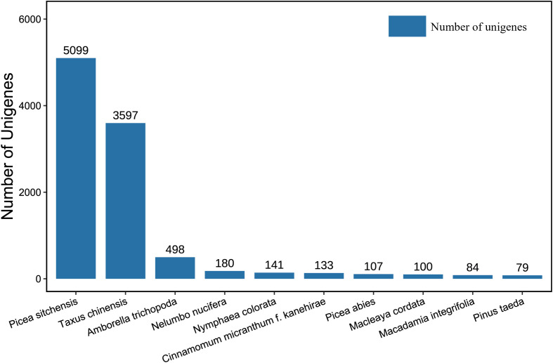Figure 4