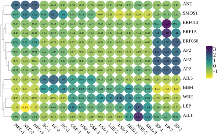 Figure 12
