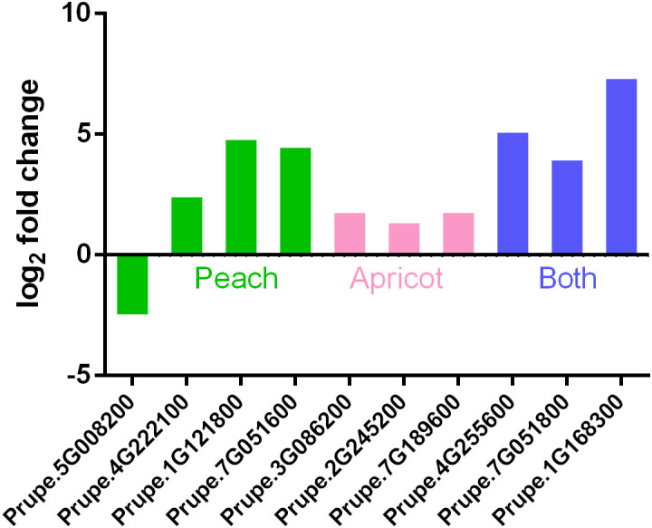 Figure 6