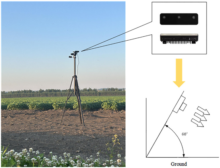 Figure 3