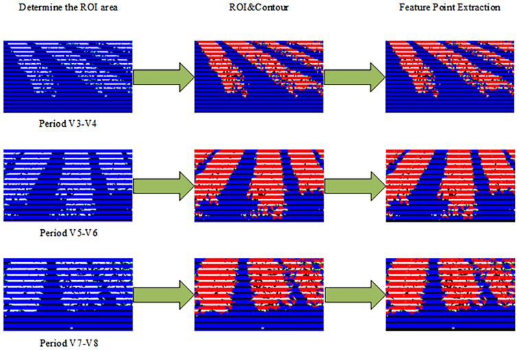Figure 13
