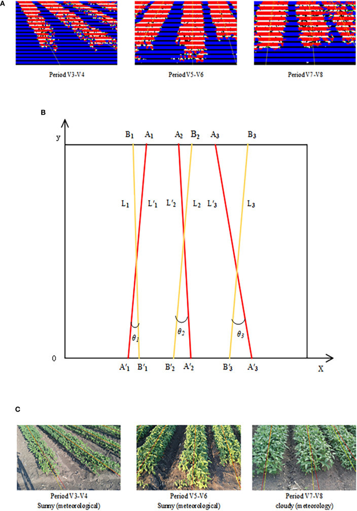 Figure 14