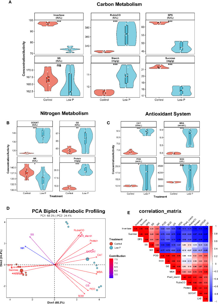 Figure 7