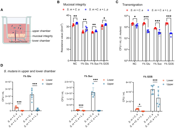 Figure 2