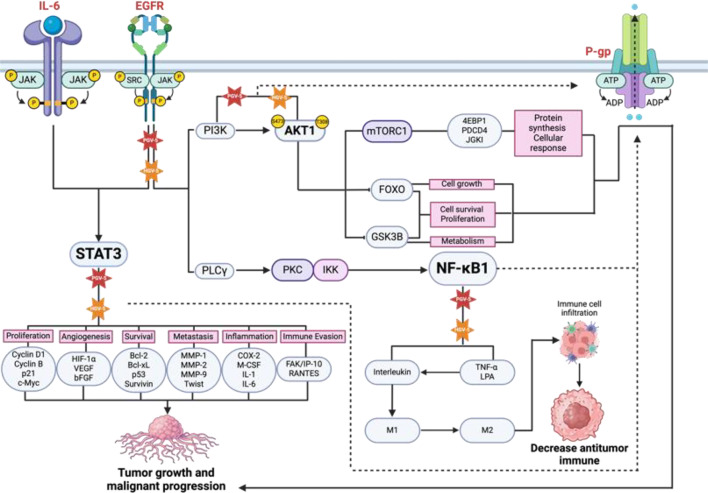 Figure 12