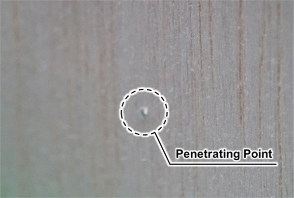 Figure 9