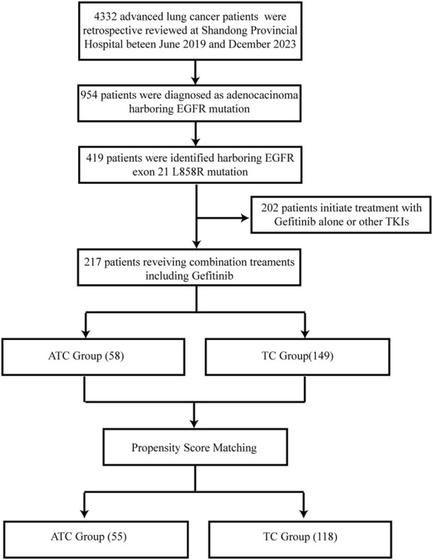 FIGURE 1