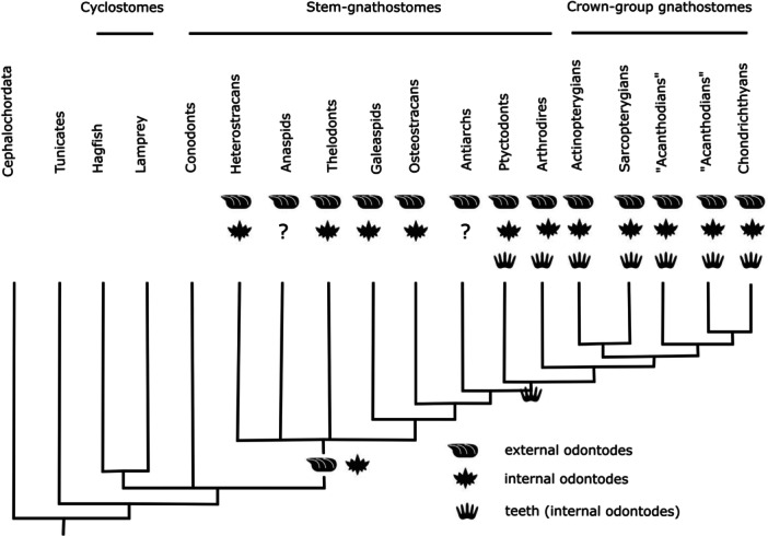 Figure 12