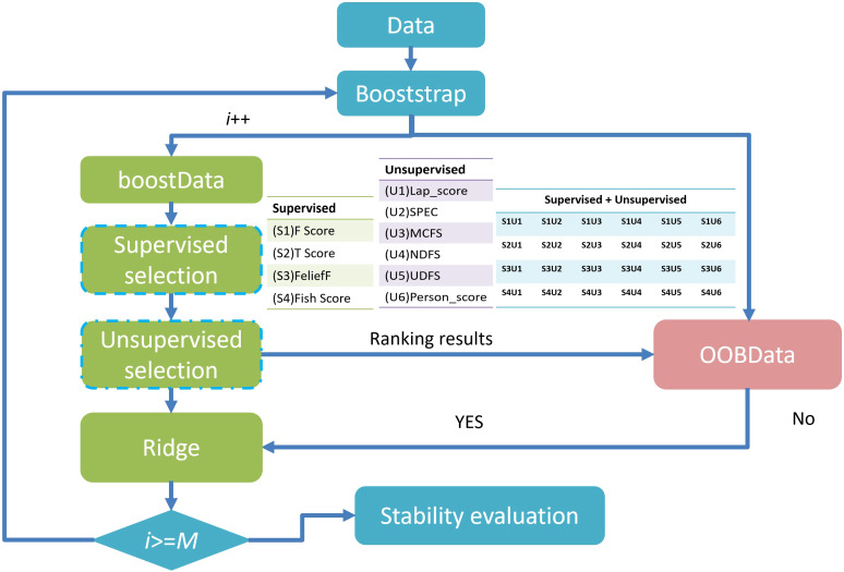 Figure 3