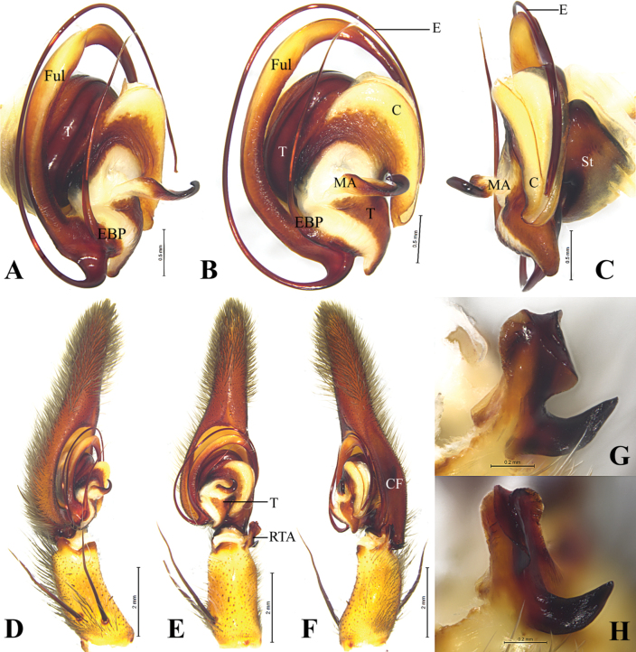 Figure 5