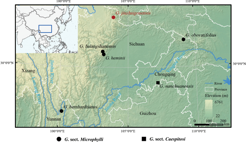 Figure 4