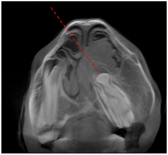 Figure 7