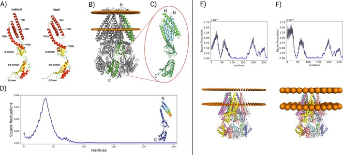 FIGURE 2